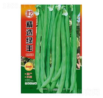 豆角種子-精選綠豐-邯豐農(nóng)業(yè)