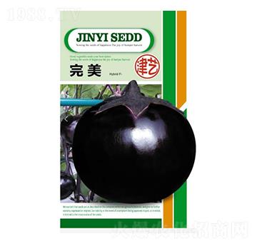 茄子種子-完美-邯豐農(nóng)業(yè)