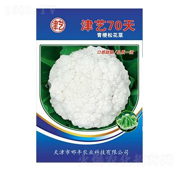 ���˷N��-��ˇ70��-���S�r(n��ng)�I(y��)