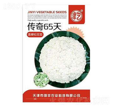 ���˷N��-����65��-���S�r�I(y��)