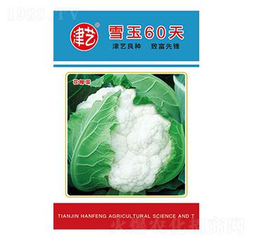 ���˷N��-ѩ��60��-���S�r(n��ng)�I(y��)