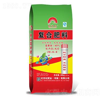 �ͺϷ���28-6-6-�t���o