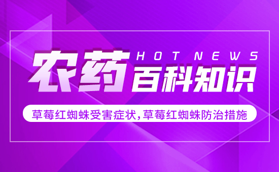 ��ݮ�t֩���ܺ��Y������ݮ�t֩����δ�ʩ