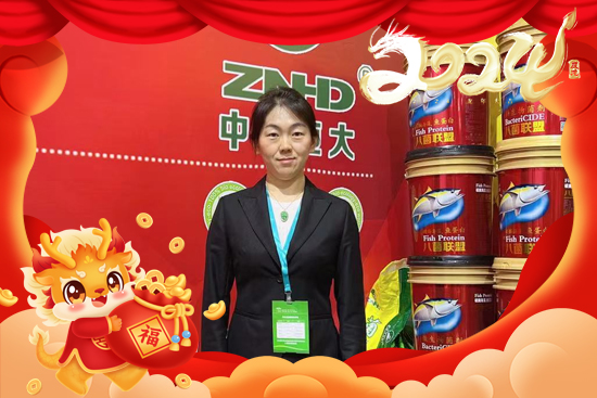 �����r���ףȫ���Ľ��N��2024��ؔԴ�V�M�������d����