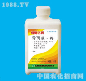 �ٰ�-42%�GҰ�Ұ�