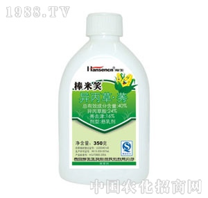 ���-����Ц