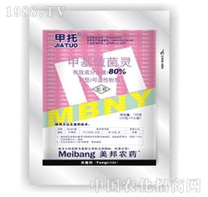 ����ˎ�I(y��)-80����