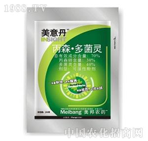 ����ˎ�I(y��)-���ⵤ